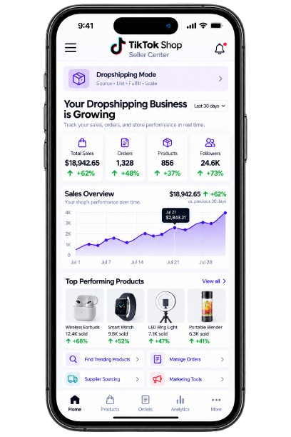 TikTok Dropshipping Services dashboard